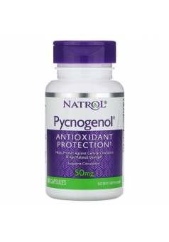 Pycnogenol 50 мг 60 капс (Natrol)