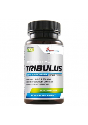 Tribulus 500 мг 90 капс (WestPharm)