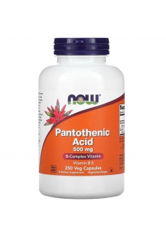 Pantothenic Acid 500 мг 250 капс (NOW)