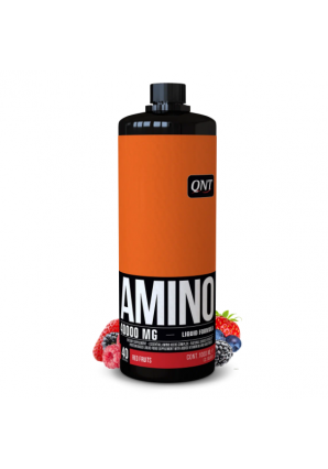 Amino Acid Liquid 4000 мг 1000 мл (QNT)