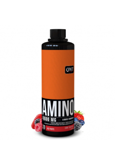 Amino Acid Liquid 4000 мг 500 мл (QNT)