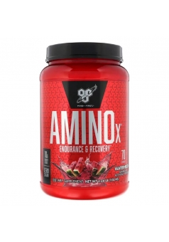 Amino-X 1010 гр (BSN)