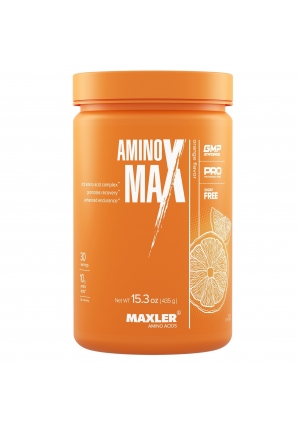 Аминокислотный комплекс Amino Max 435 гр (Maxler)