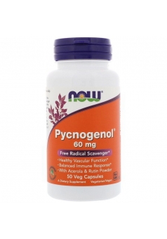Pycnogenol 60 мг 50 капс (NOW)