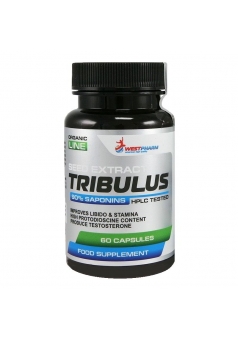 Tribulus 500 мг 60 капс (WestPharm)