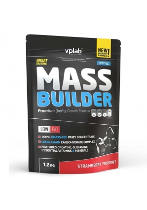 Mass Builder 1200 гр (VPLab)